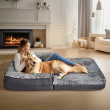 Extra Large Human Size Dog Bed
