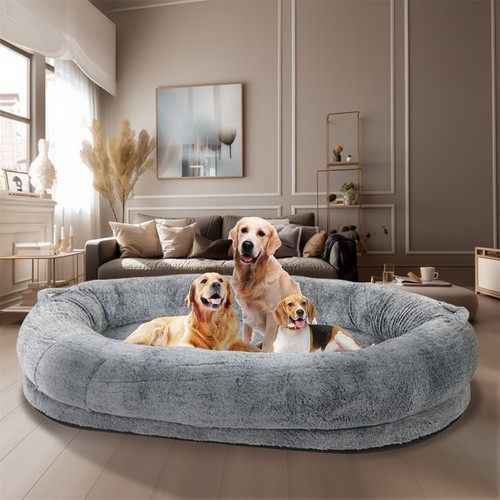 Extra large human sized dog - extra,
