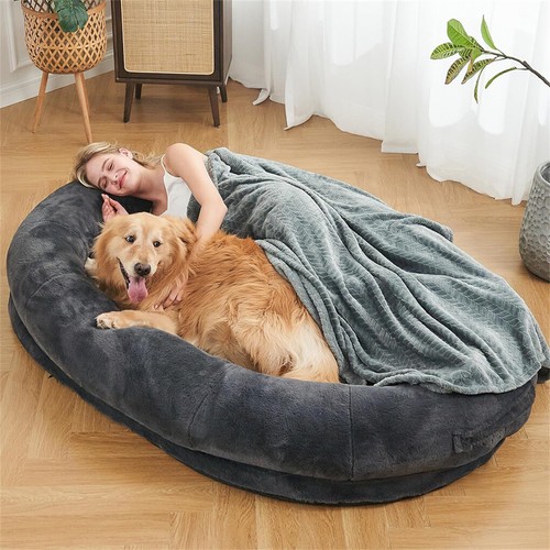 Bingopaw snuggle pod - snuggle,