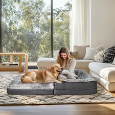 Large Foam Dog Beds Human