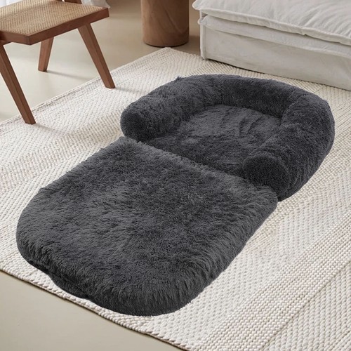 Large human dog - 1,