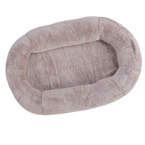 Comfortable human dog - comfortable,