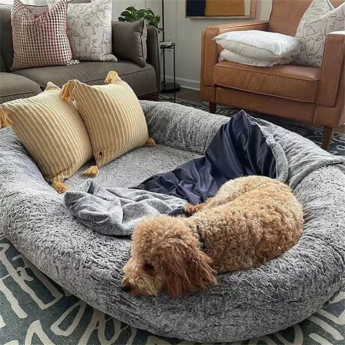 Human sized dog bed pet - pet, mat