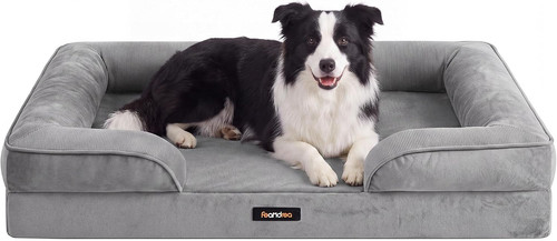 Orthopaedic dog bed - dog,