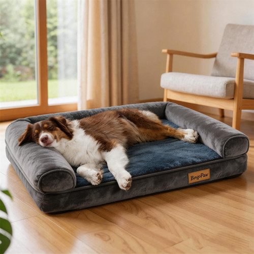 Bingopaw orthopedic dog - bingopaw, bed