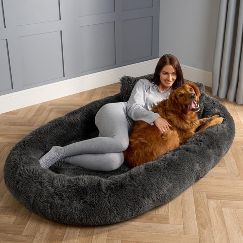 Ohs human size - dog, pet