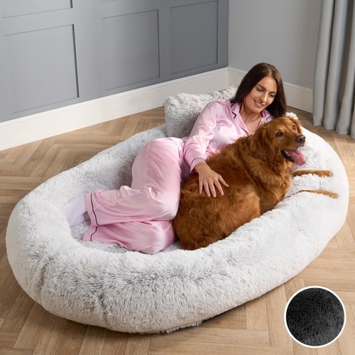 Ohs human size dog bed - human,