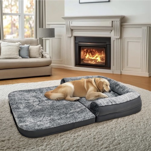 Extra large dog - large,