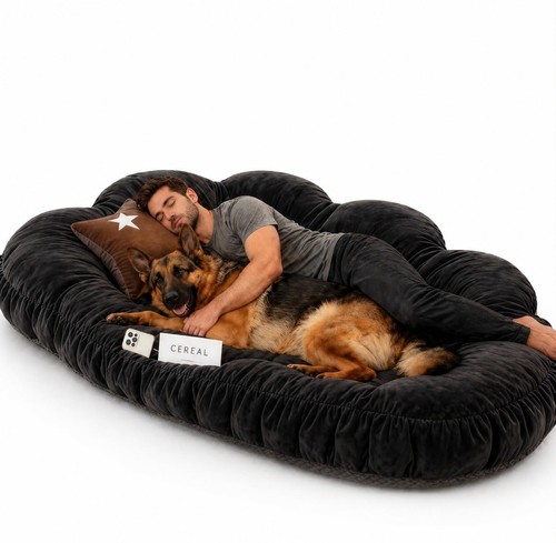 Human dog bed - dog, orthopedic