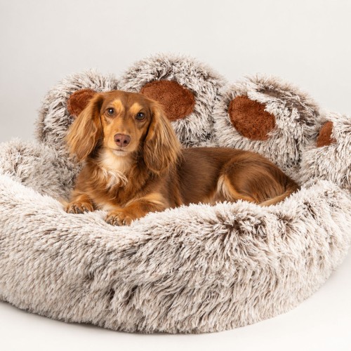 Paw dog cat - dog, bed