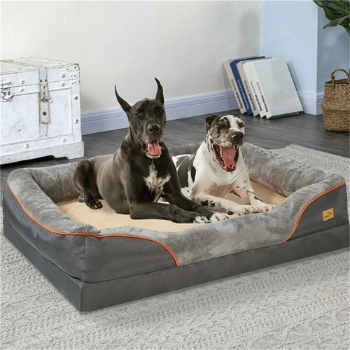 Jumbo large orthopedic dog - large,